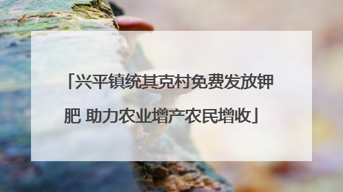 兴平镇统其克村免费发放钾肥 助力农业增产农民增收